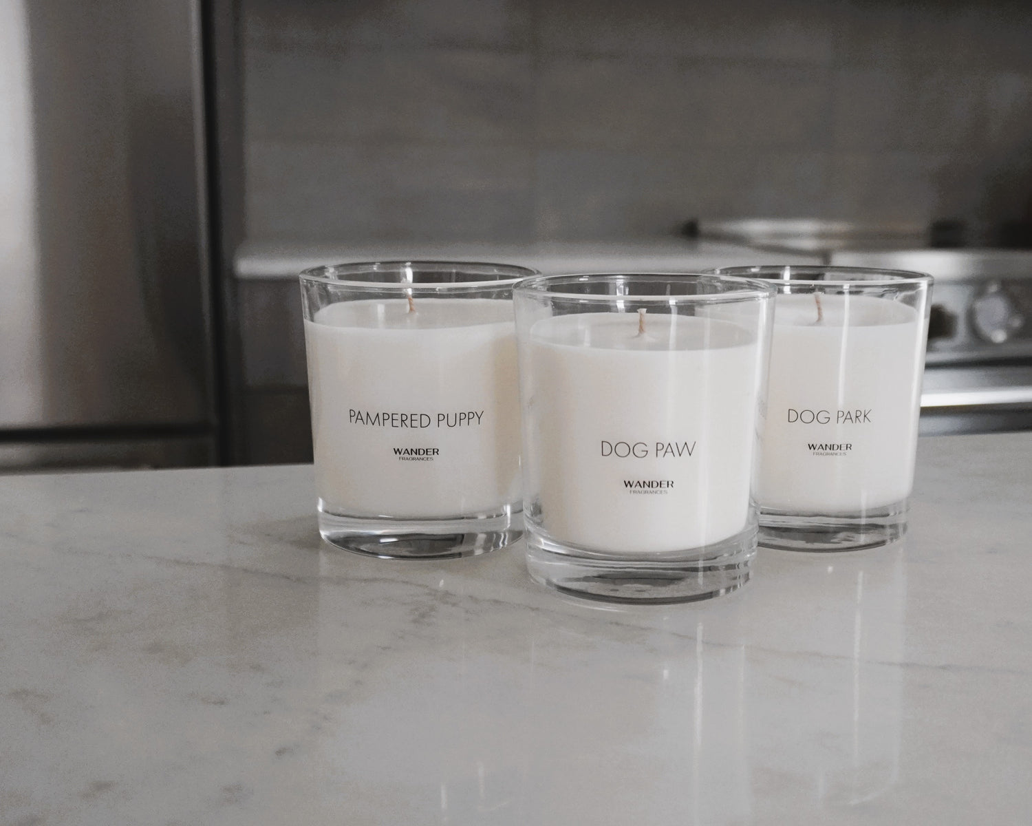 Soy Candle Set - Wander Fragrances