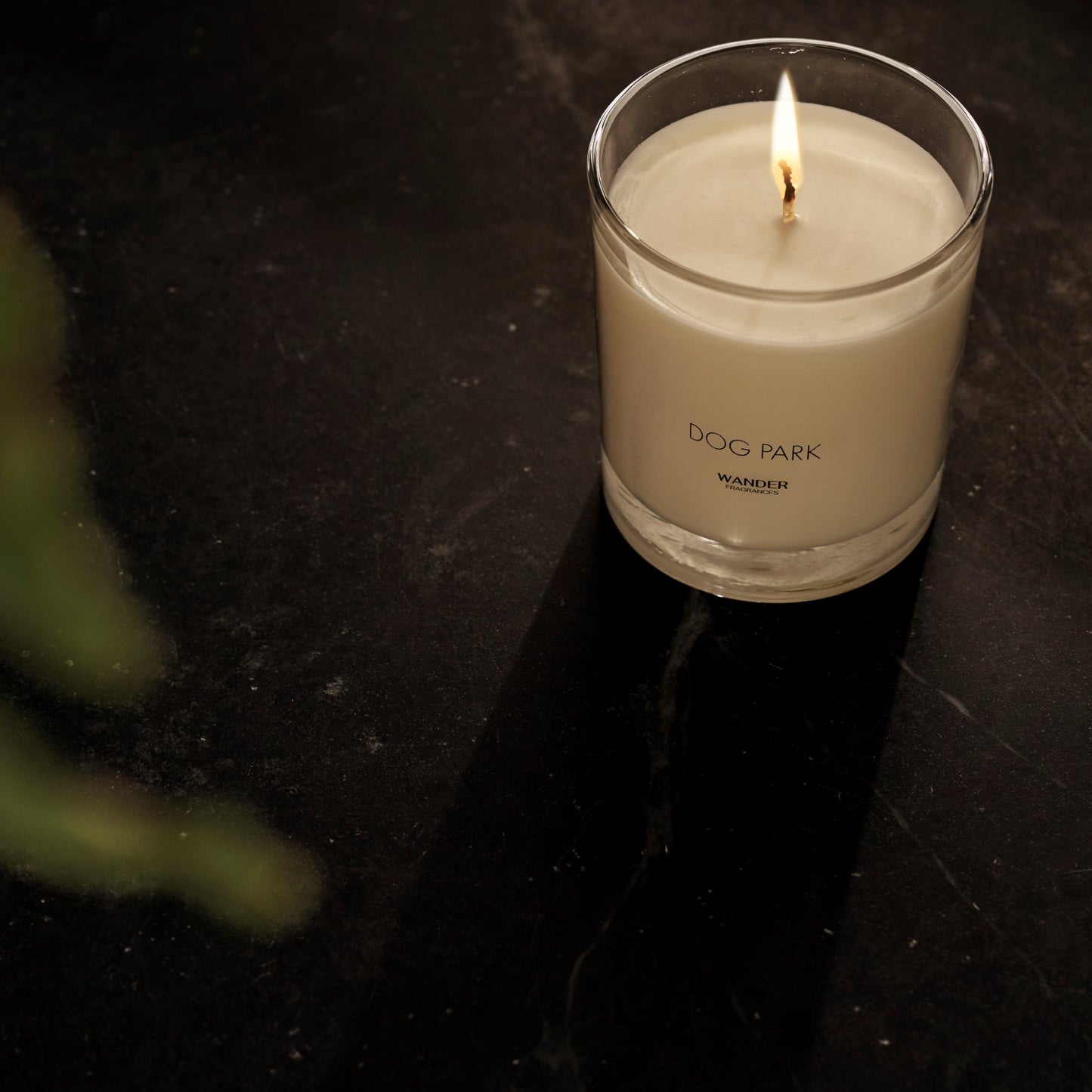 Dog Park Scented Candle